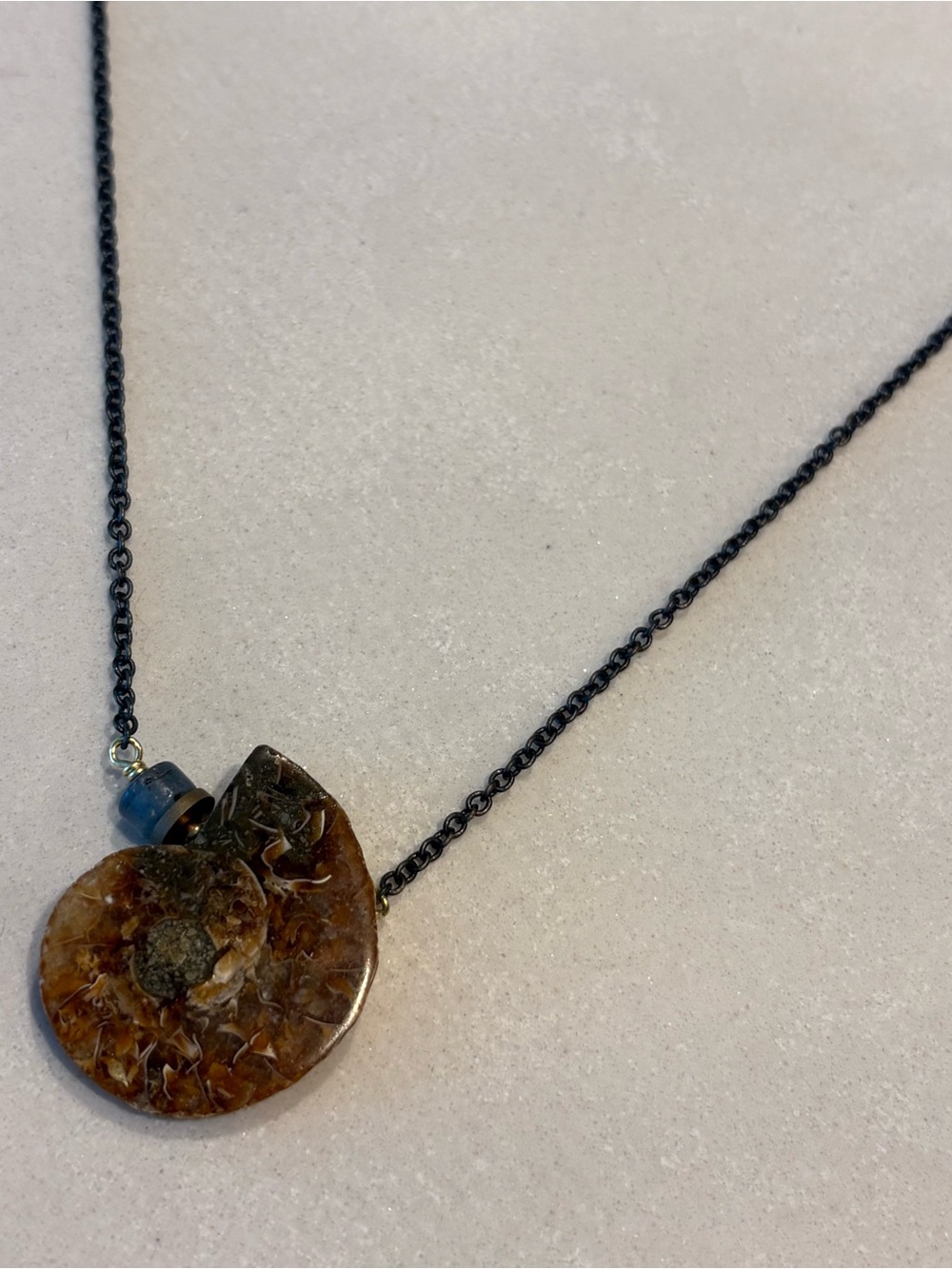 Fossilized Ammonite slice pendant necklace
